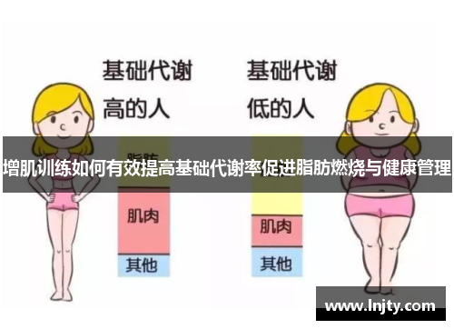 增肌训练如何有效提高基础代谢率促进脂肪燃烧与健康管理