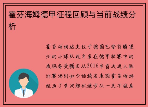 霍芬海姆德甲征程回顾与当前战绩分析